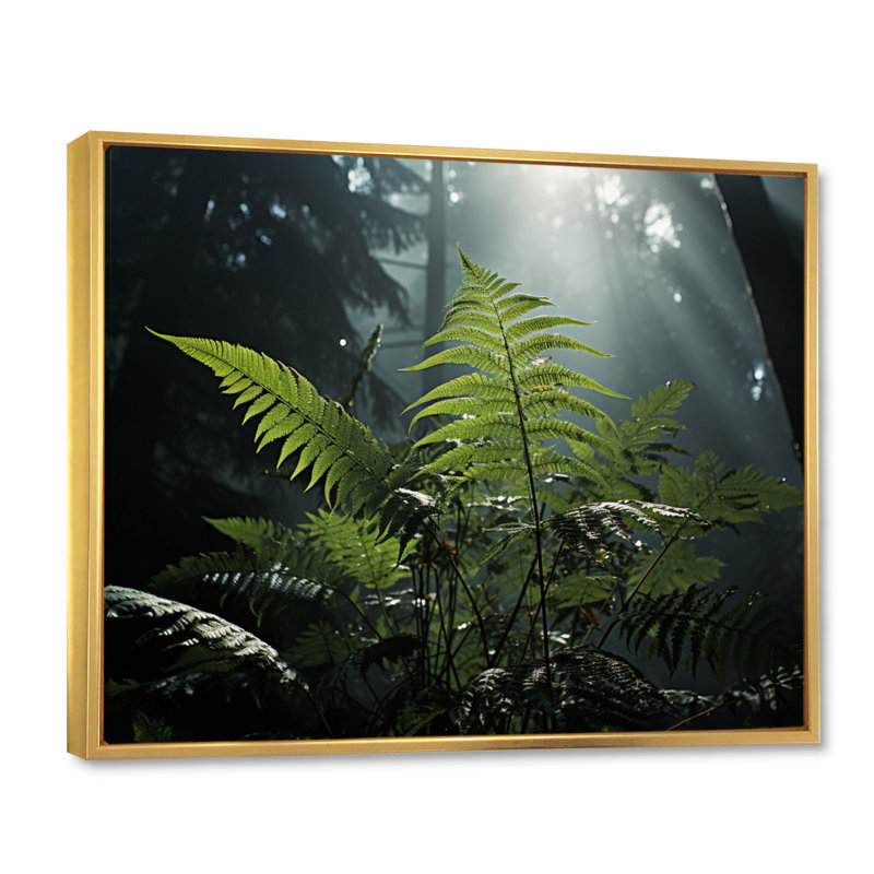 " Ferns Close Up Photo VII ", 24" H x 32" W, Cadre flottant doré