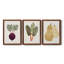 Toile encadrée organique Premium Veg IX - prête à être accrochée-1181330301-1181330299