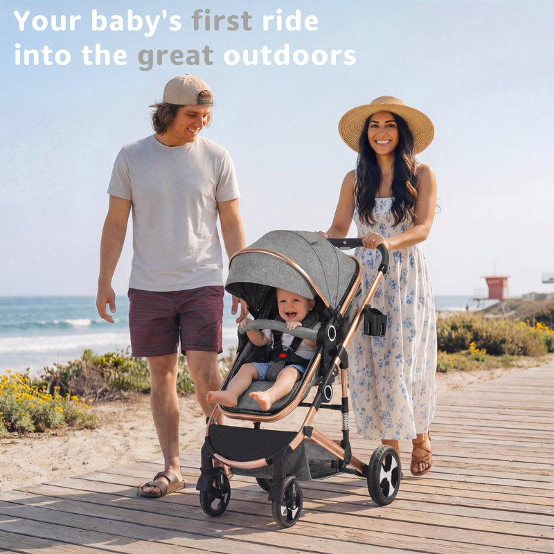 Convertible Baby Stroller, Folding High Landscape Infant Carriage, Adjustable Canopy, Diaper Bag, Anti-Shock, Gray/Gold