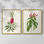 «Pretty Pink Botanicals VII», reproduction encadrée de qualité supérieure - prête à être accrochée - aucun clou requis - aucun clou requis-346606959-346606954
