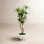 Torrens 90" Dracaena Tree in Planter