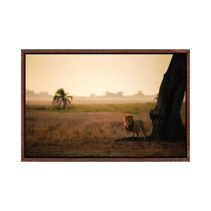 Palm Tree King by Mohammed Alnaser - Print on Canvas, Classic Brown Wood Floater Framed, 45.72cm H x 66.04cm W x 3.81cm D