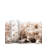 Indoor Rug-252302830