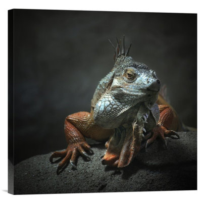 " I Am The King...Who Else! " by Holger Droste