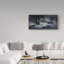 « winter storm "jonas », reproduction de photo sur toile tendue-30392693