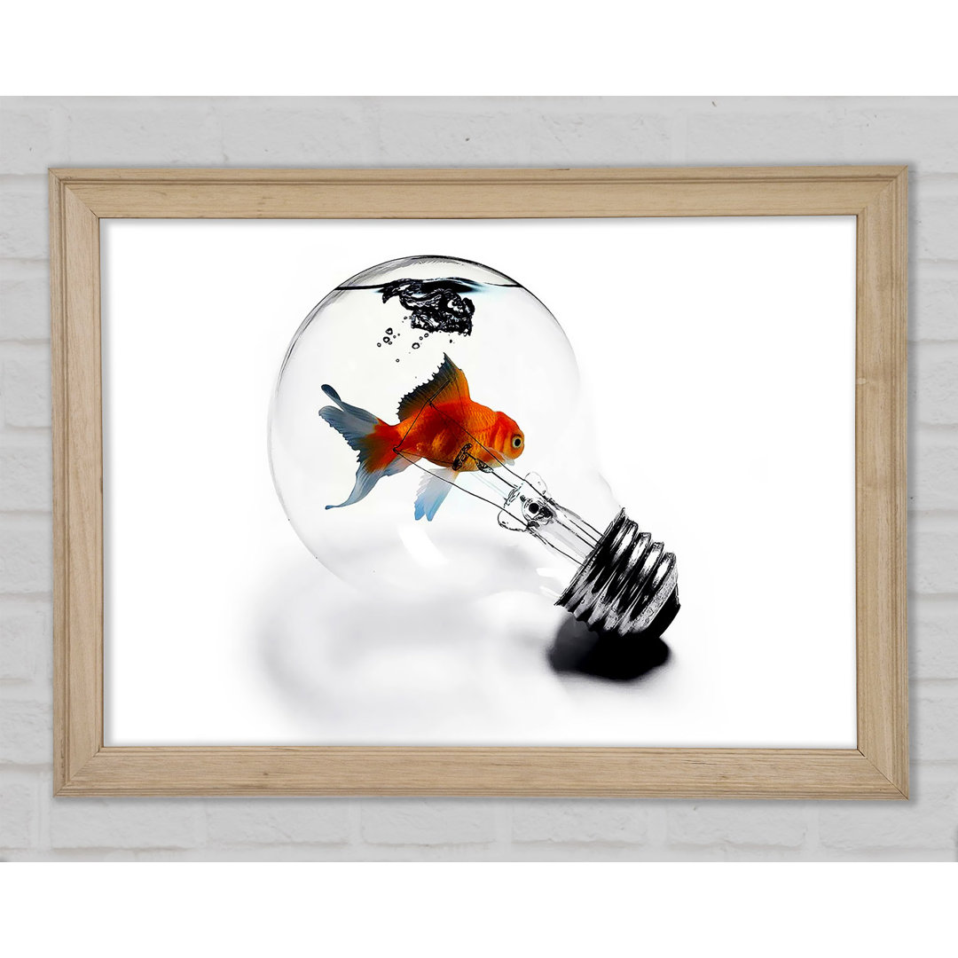 Gerahmtes Leinwandbild Goldfish Light Bulb