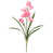 Rose fuchsia