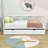 Jaye Wooden Daybed with Twin Size Trundle-162183934-162183905