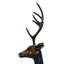 Deer Animals Metal Garden Statue