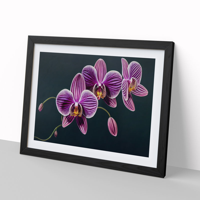 Sensational Orchid Flowers - Framed Print, Black, 34cm H x 46cm W x 2cm D