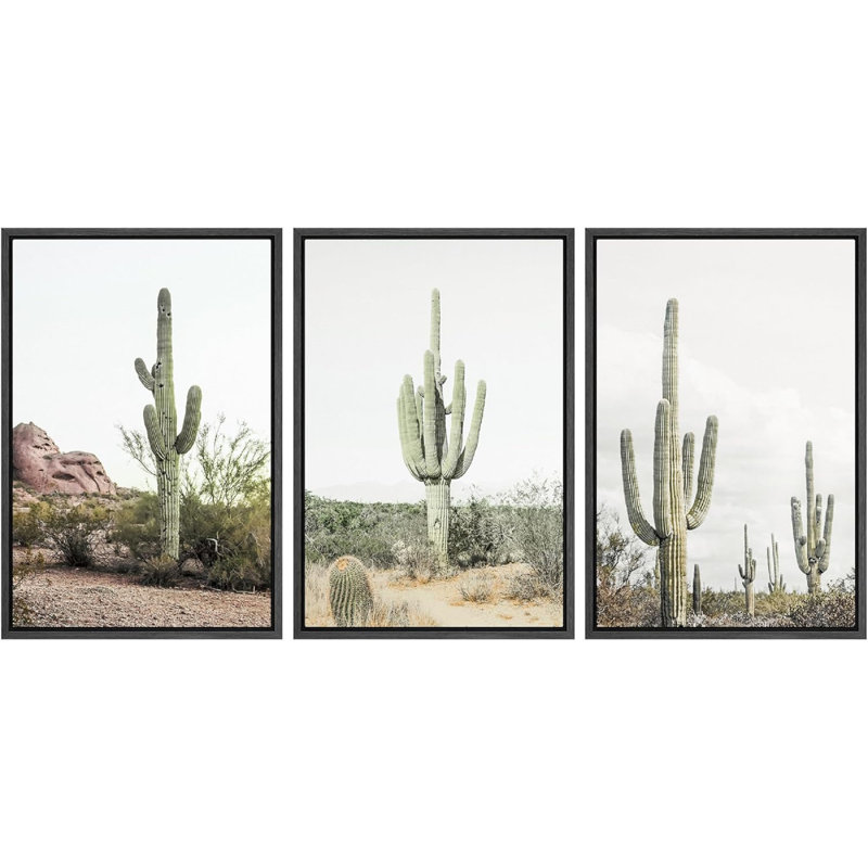 Cactus désert "Southwestern Green Saguaro, H 24 po x l 48 po, Cadre flottant noir