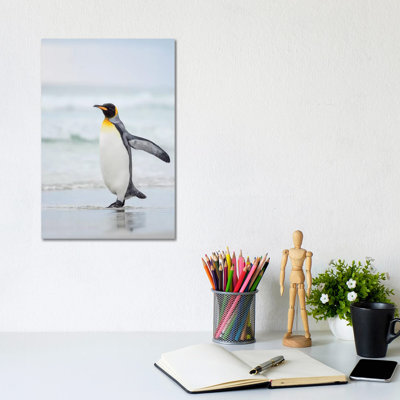 King Penguin On Falkland Islands. 1 Piece Wrapped Canvas Wall Art