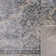 Delmer Performance Oriental Rug