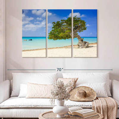 Gillard Aruba Beach Divi Divi Tree