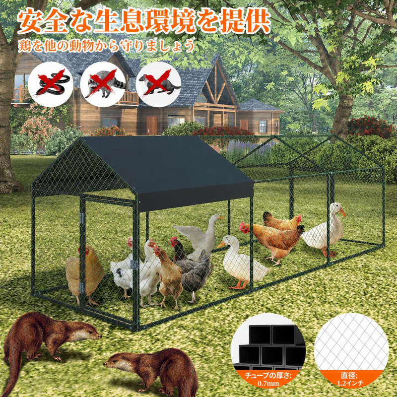 Chicken Coop