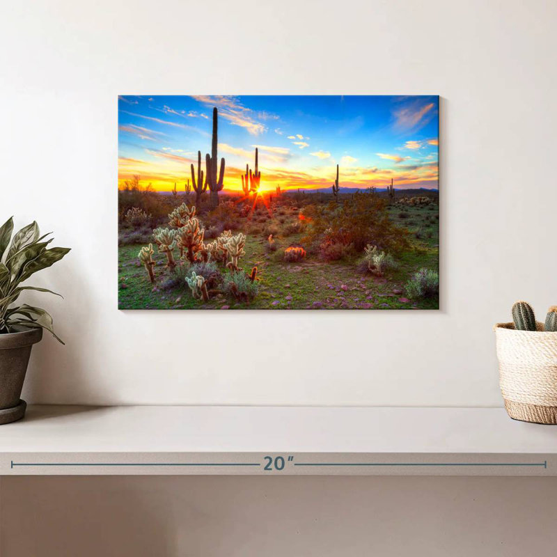 Harnek, désert, cactus, rayon de soleil, H 8 po x l 12 po