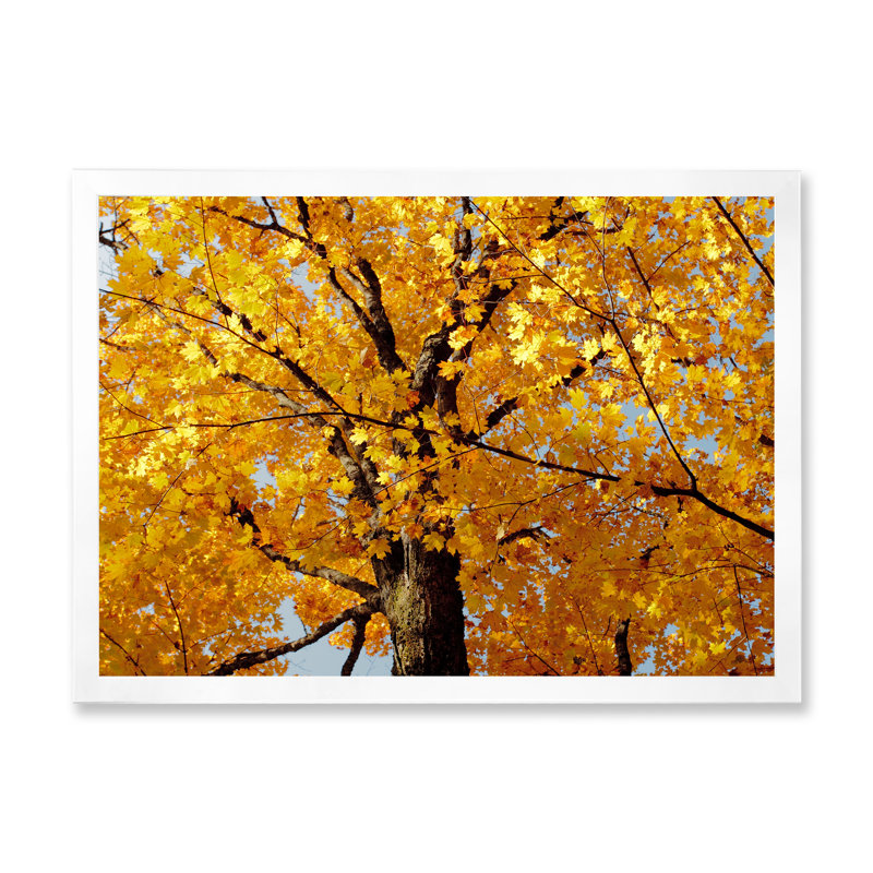" Autumn Maple Tree ", 8" H x 12" W x 1" D, White Closed Corner Framed