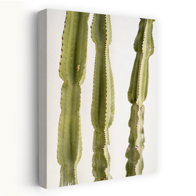 3 cactus abstraits, art mural contemporain