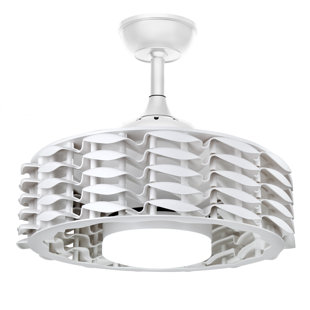 Ceiling Fan with LED Lights
