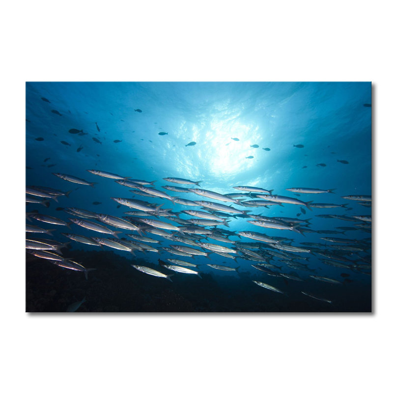 Stretched On Wooden Frame Fotodrucke on Leinwand, 80cm H x 120cm W x 2cm D