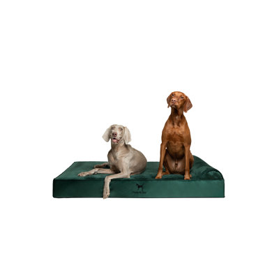 Noah & Paw XL Dog Bed, Orthopedic Large Dog Beds, Eggshell Memory Foam Infused with Cooling Gel, Waterproof, Machine Washable, Includes Inner Cover (Velvet Collection)