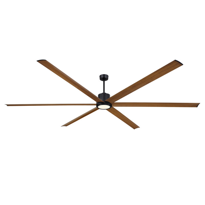 Ventilateur de plafond Pendry Max 120 pouces pour intérieur/extérieur avec kit d'éclairage DEL à température de couleur sélectionnable - Noir avec pales en koa