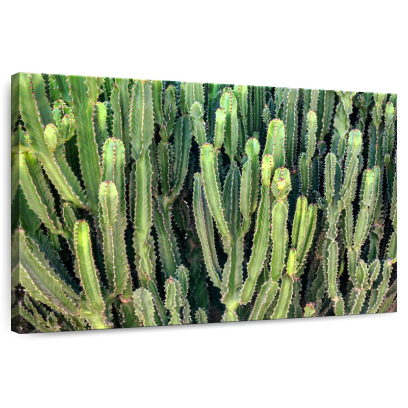 Couleurs Harnek du Pérou - Cactus, H 32 po x l 48 po