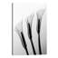 Hong Pham - Print on Canvas-50015963-101336652