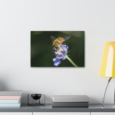 Wall Art on Canvas