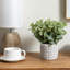 Artificial Plant