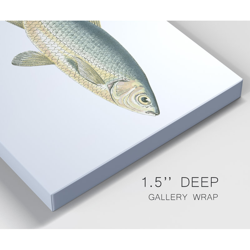 Petit poisson antique IV - reproduction sur toile, H 12 po x l 8 po x P 1 po