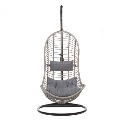 Shayna Swing Chair with Stand