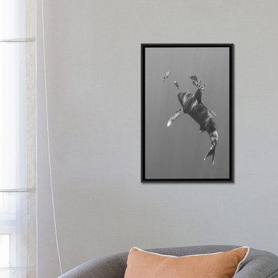Oceanic Whitetip Shark, Cat Island, Bahamas I by Brent Barnes - Gallery-Wrapped Canvas Giclée on Canvas