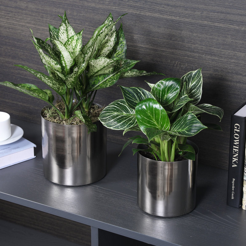 Handmade Metal Pot Planter