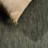 Beach House Power Loom Polypropylene Plastic; Polyester Striped Indoor / Outdoor Rug-127419707