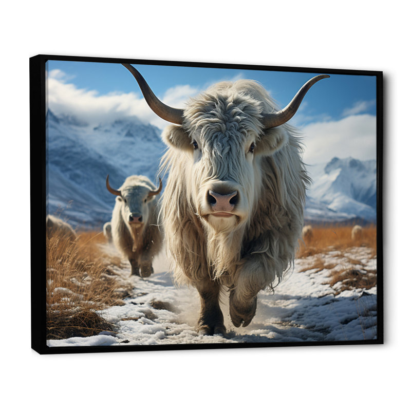 Yaks majestueux en hiver, Noir, H 16 po x l 32 po x P 1 po