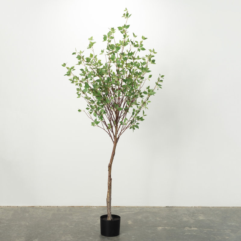 Quiller 72'' Faux Mountain Leaf Tree in Planter