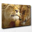 Cuddling Lions Photographic - Wrapped Canvas-19091817