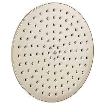 Oak Hill Rain Shower Head