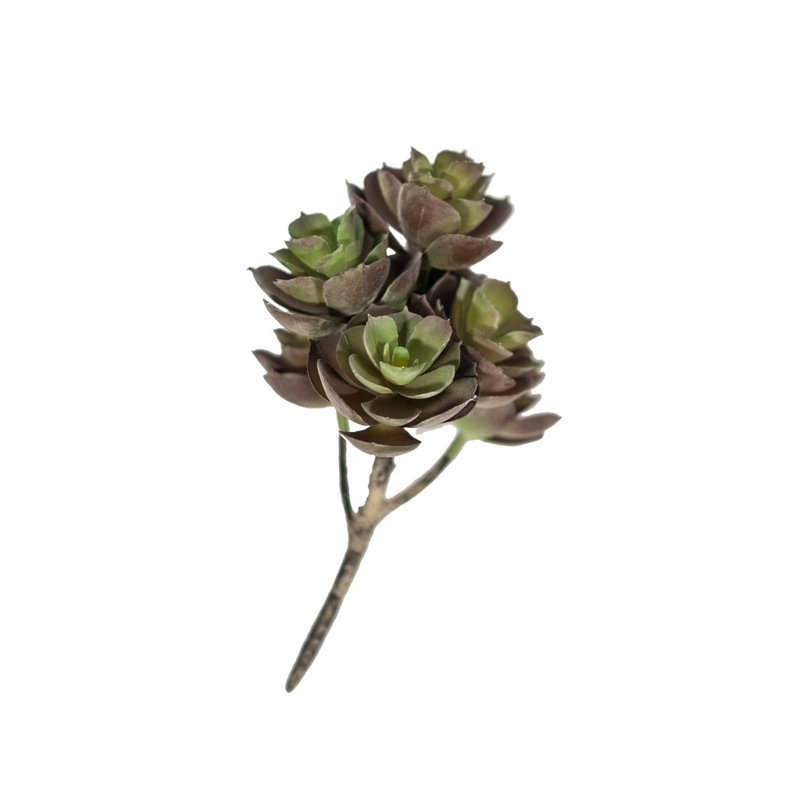 Ensemble de succulent sedum artificiel 3