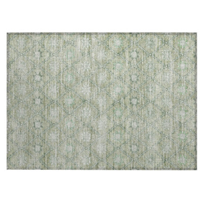 Machine Washable Indoor/Outdoor Xhevrie Aloe Rug