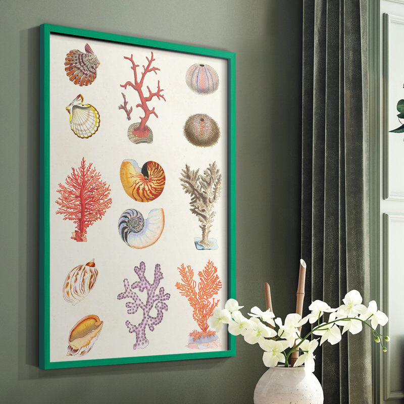 Coral & Shell Collage I Framed Print - Solid Wood, Green, 10" H x 8" W