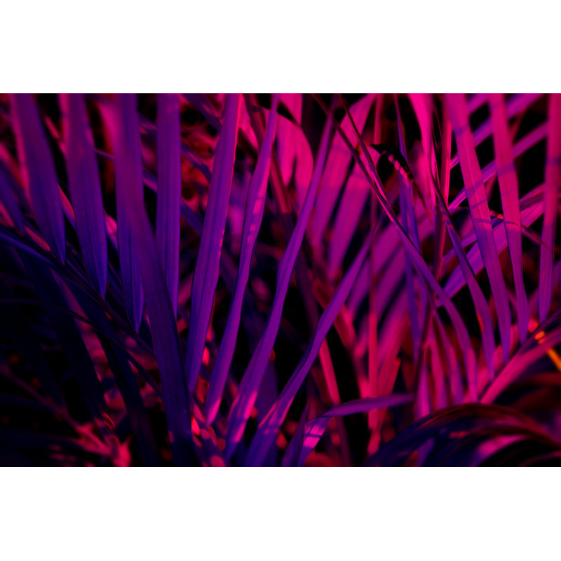 Blurred Leaf Forest - Wrapped Canvas Print, 30cm H x 46cm W