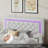 Alber Upholstered Platform Bed Frame with LED Lights & Storage Drawers - Diamond Tufted Headboard & Footboard, Modern Bedroom Furniture-1789157116-1789157107