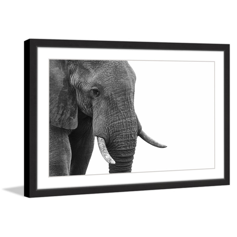 Single Picture Frame Print, 41cm H x 61cm W x 3.81cm D