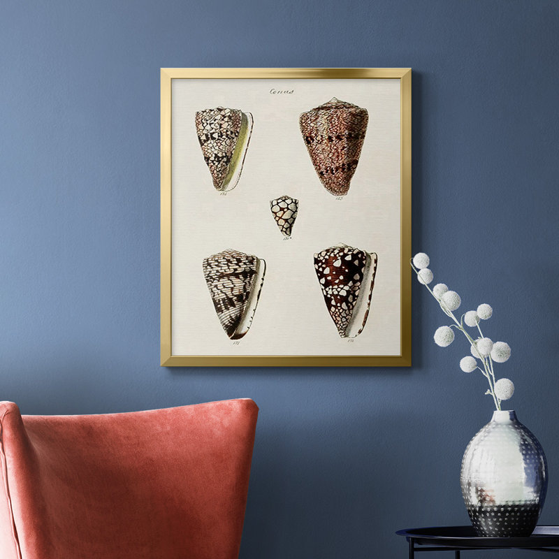 Toile encadrée de qualité supérieure Cone Shell Collection III - prête à être accrochée, Or, H 24 po x l 20 po