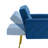 Zianny Velvet Accent Chair with Ottoman-673816101