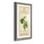 Linnaean Botany V - Cadre photo, reproduction d'art sur papier-2006211953