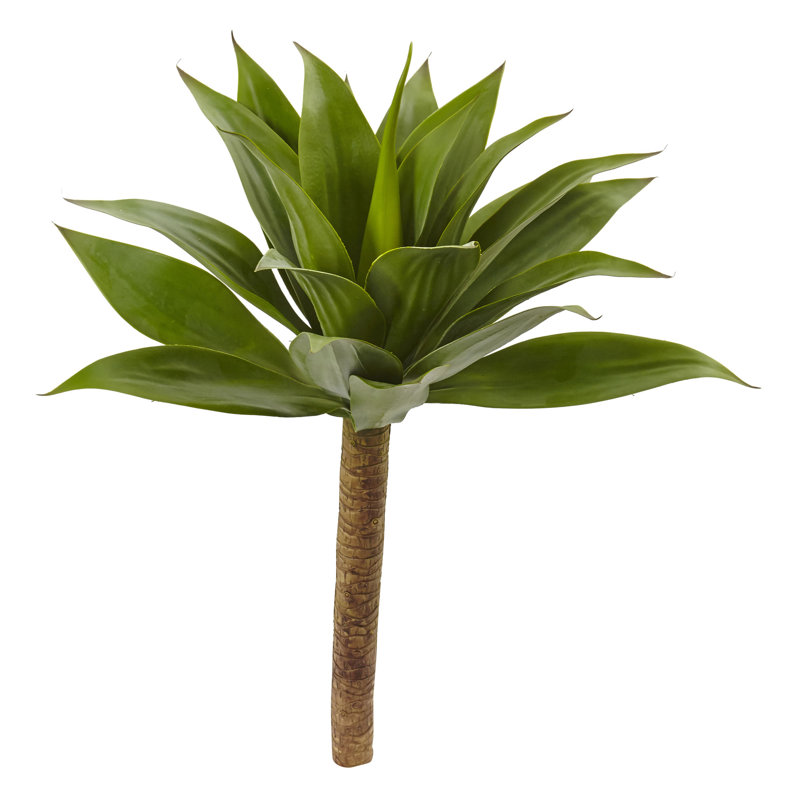 32'' Agave Plant