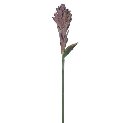 Vaporisateur 29 po Vickerman mauve / vert Siam Tulip 2 / sac. Ajoutez de la texture à vos projets de décoration.